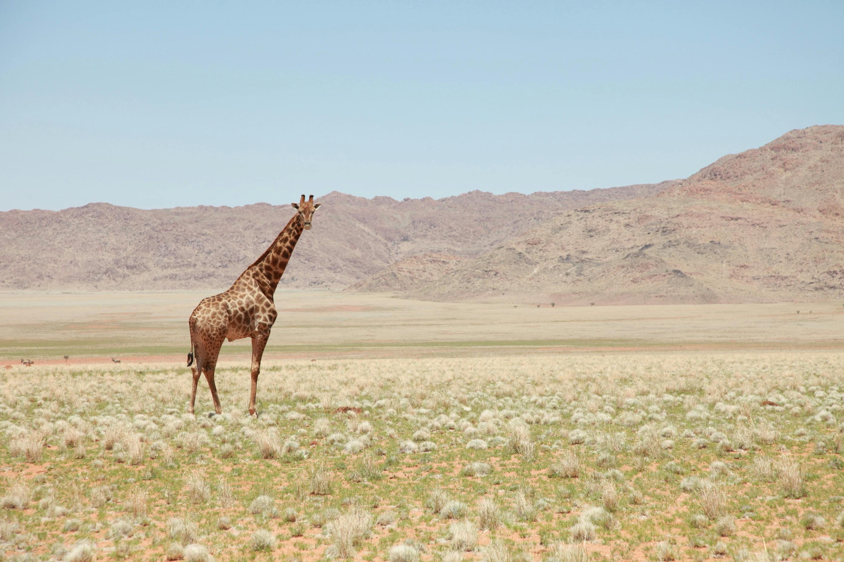 Namibia Ultimate Wilderness